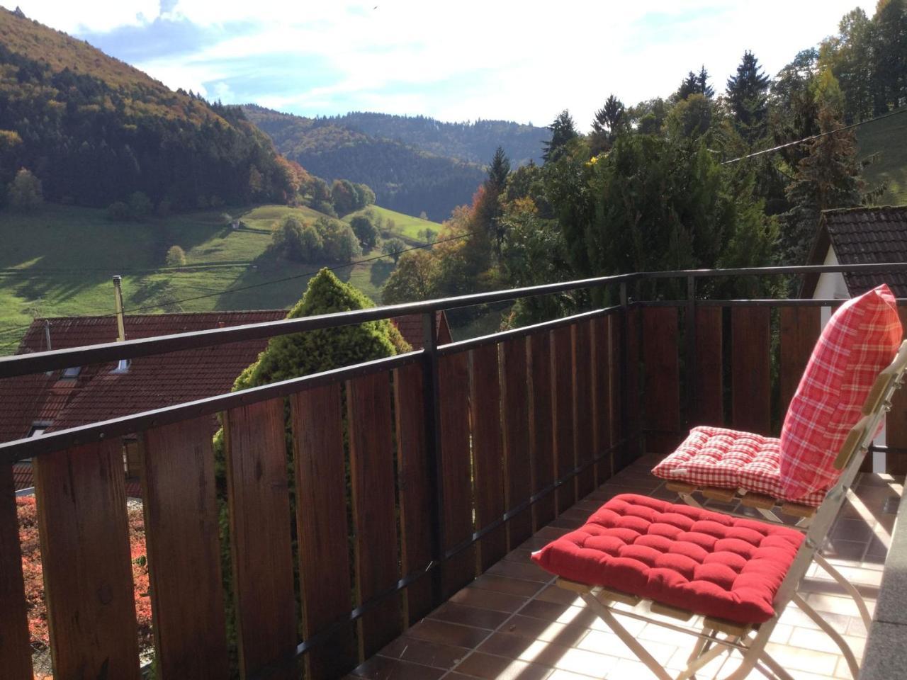 Apartamento Erikas Haus Münstertal Exterior foto