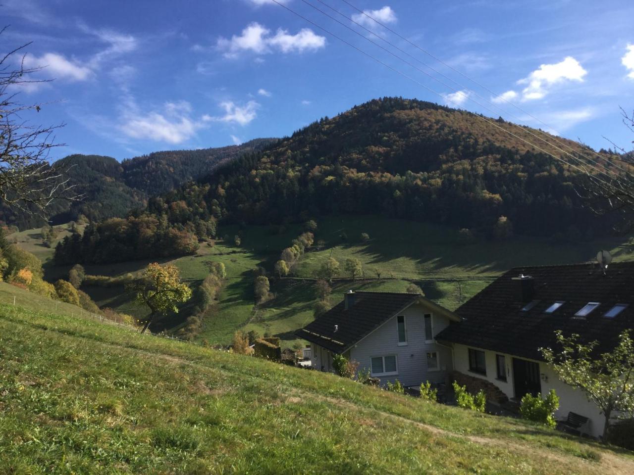 Apartamento Erikas Haus Münstertal Exterior foto